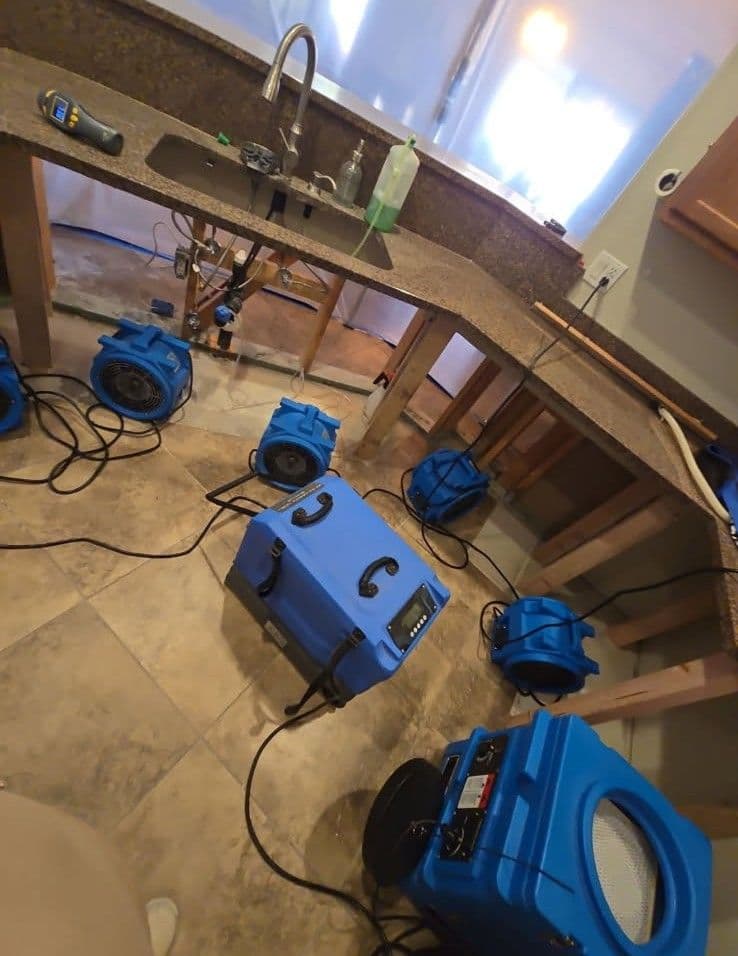 Blue air movers and dehumidifiers drying a kitchen renovation under a sink area.
