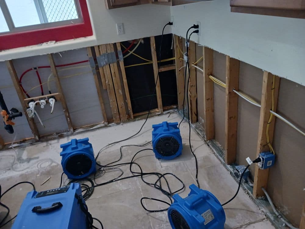 Our Faithful Origins